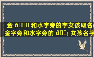 金 🍀 和水字旁的字女孩取名(金字旁和水字旁的 🐡 女孩名字大全)